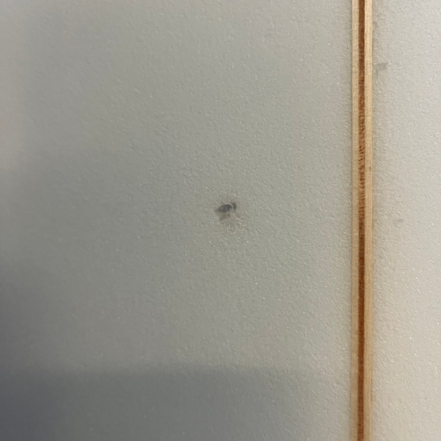 Joel Fitzgerald Surfboards Cosmic Twin 6'8" secondhand surfboard