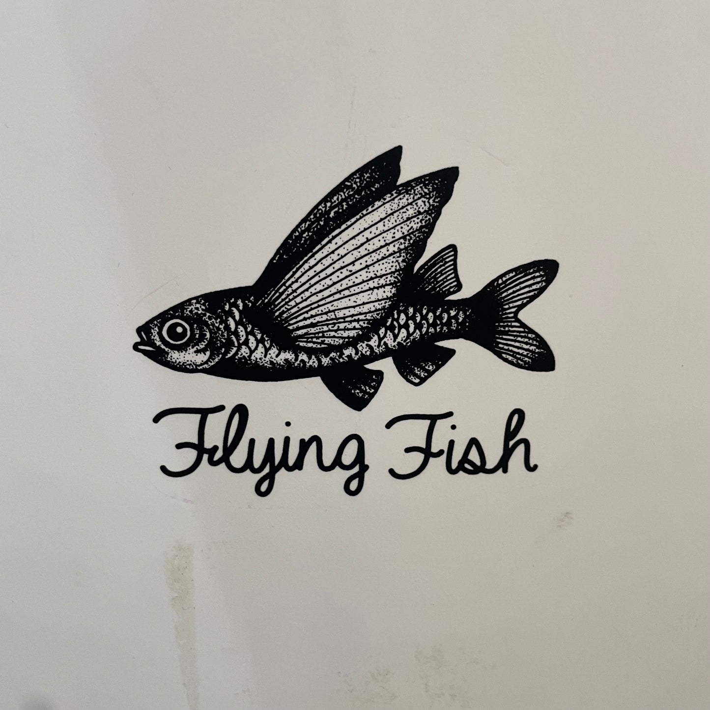 Aqss Flying Fish 5'10" secondhand surfboard model logo