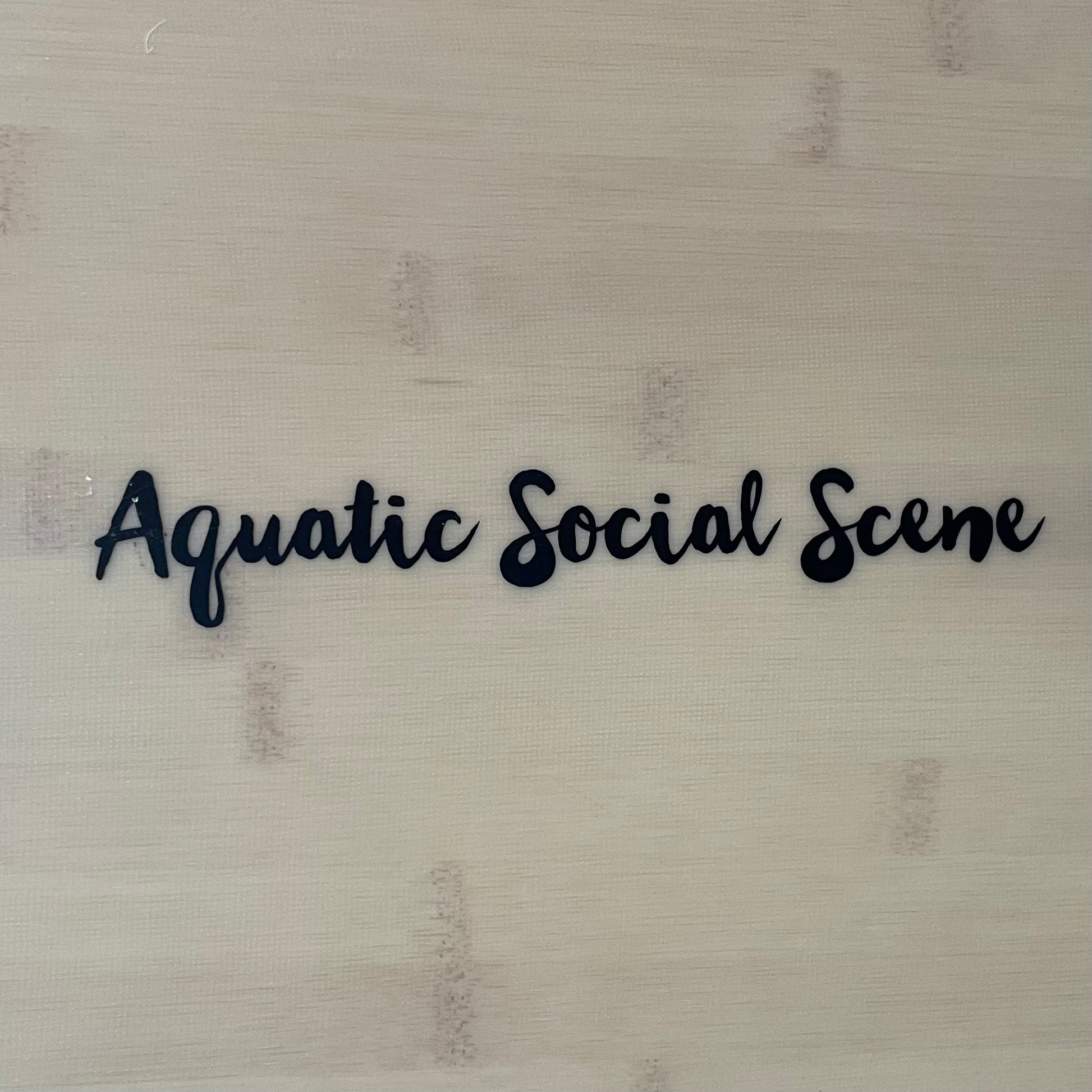 Aqss Flying Fish 5'10" secondhand surfboard brand name