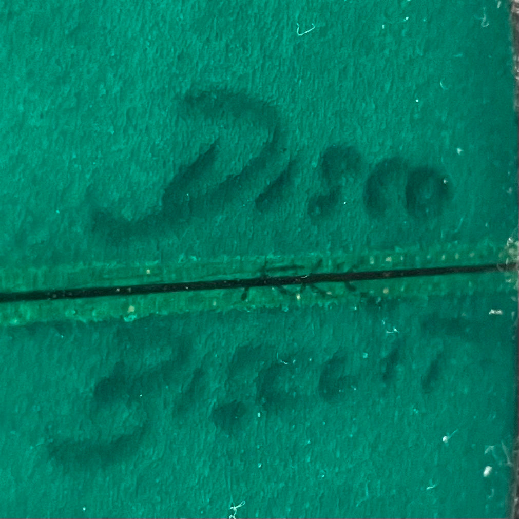 ESP Disco Biscuit 6'6" secondhand surfboards model logo name close-up