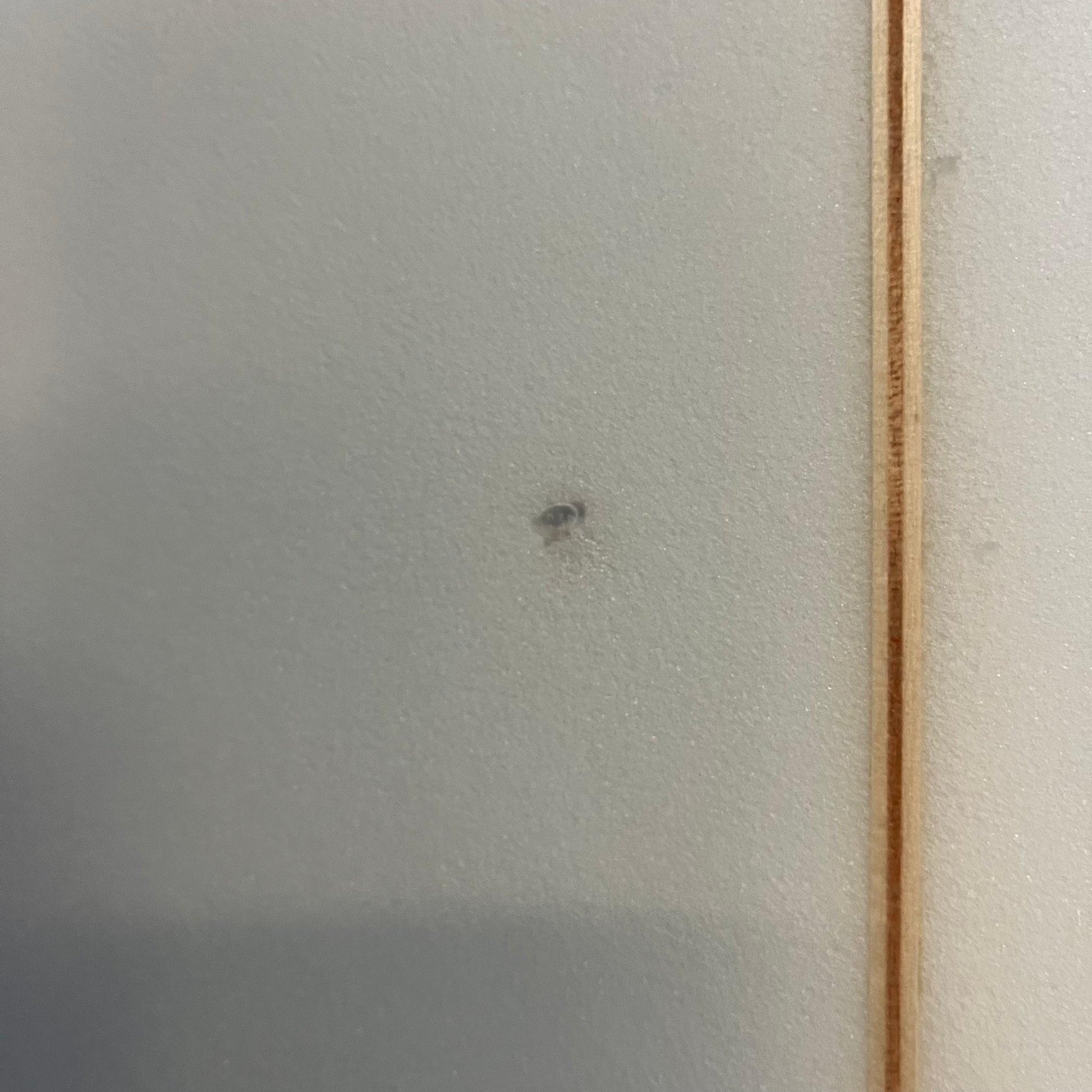 Joel Fitzgerald Surfboards Cosmic Twin 6'8" secondhand surfboard