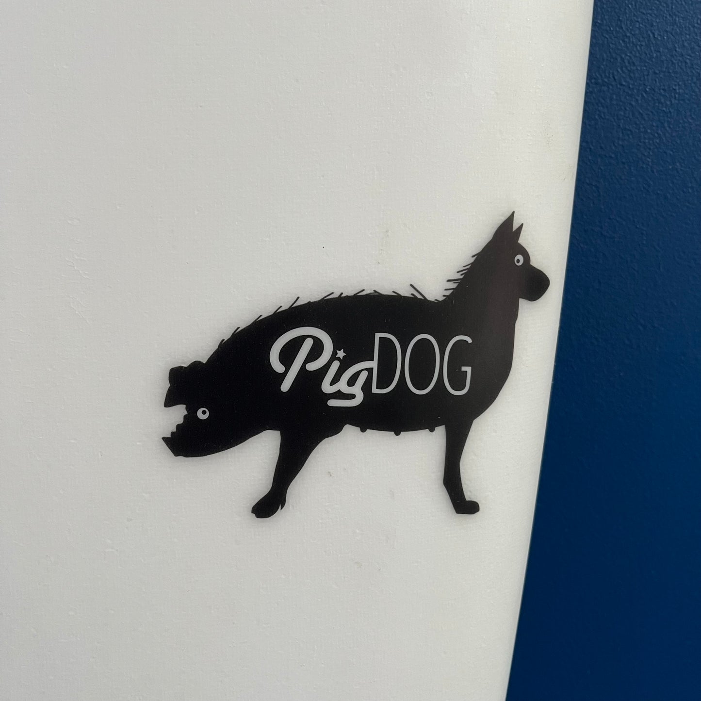 Superbrand Pig Dog 6'1" secondhand surfboard model logo close-up